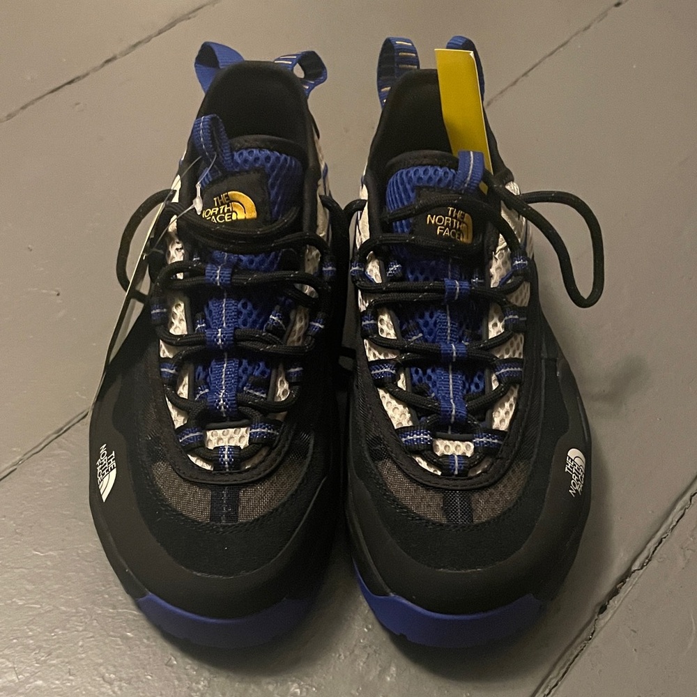The North Face Black and Blue Hiking Shoes